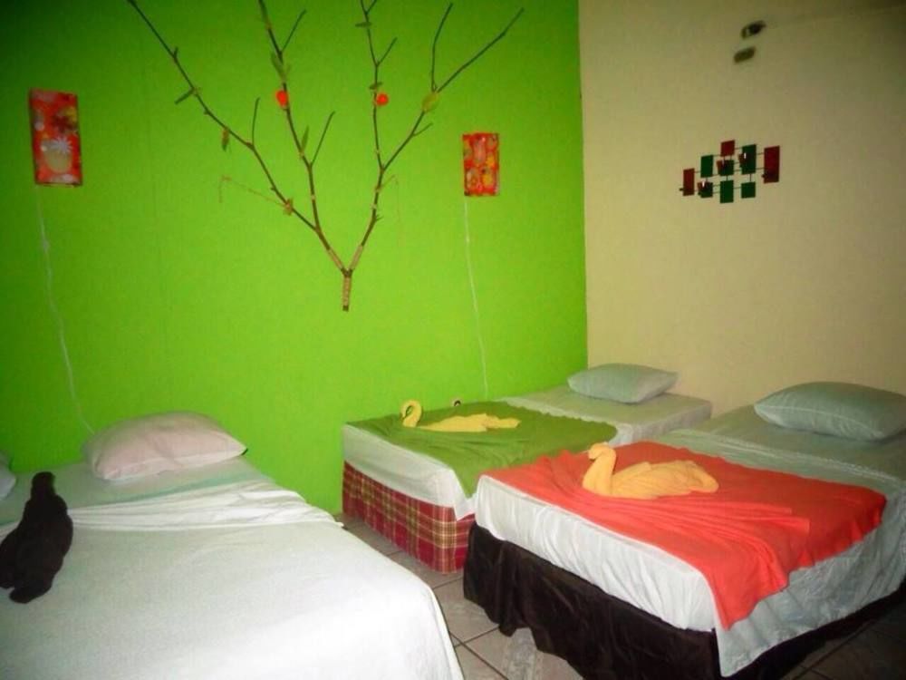 Cabinas Tortuguero Natural Экстерьер фото