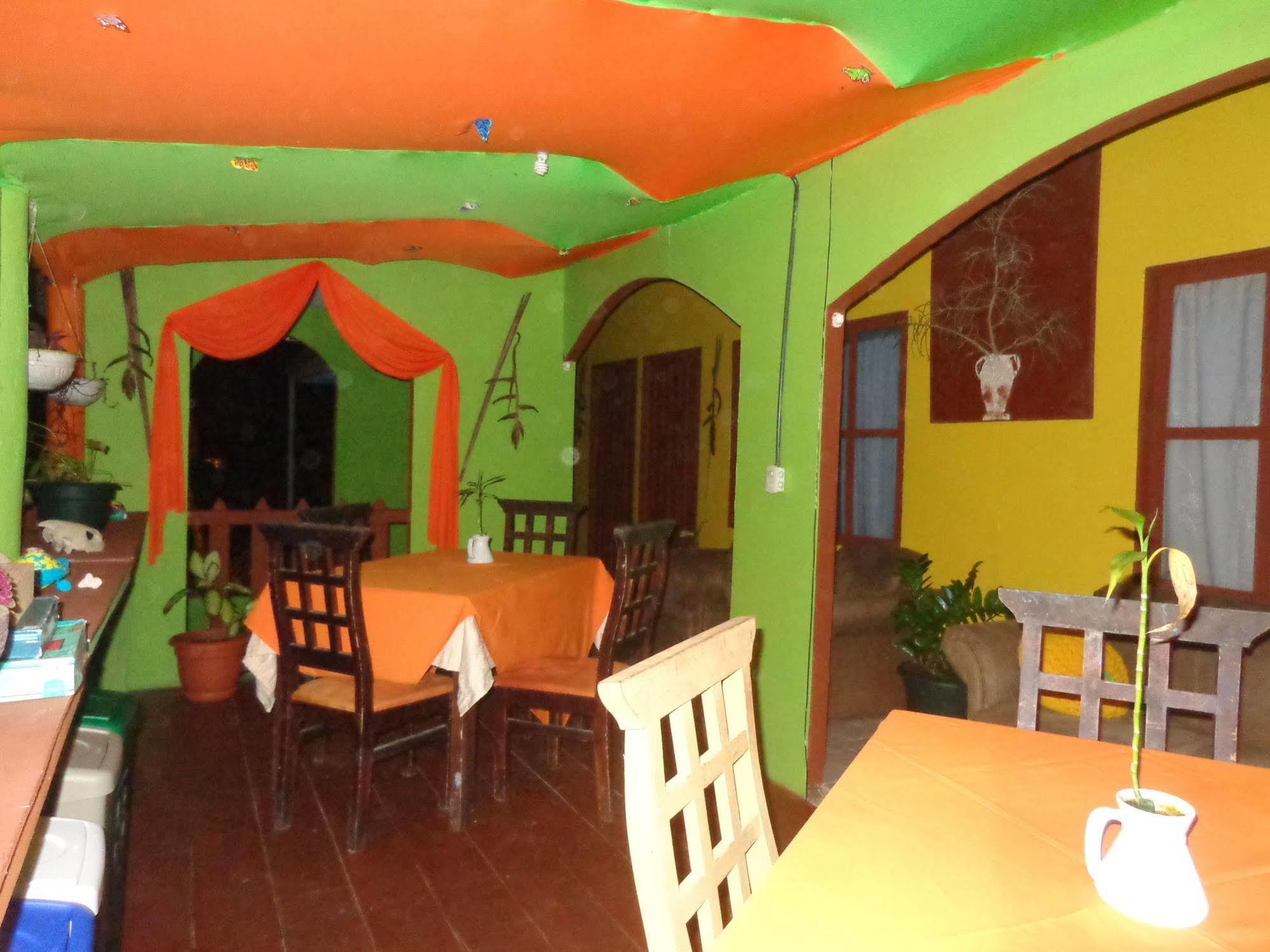 Cabinas Tortuguero Natural Экстерьер фото